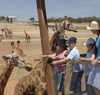 Monarto Open Range Zoo - Attractions Sydney