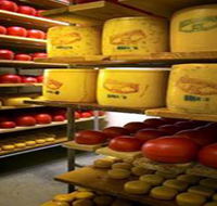 Alexandrina Cheese Company - Attractions Sydney