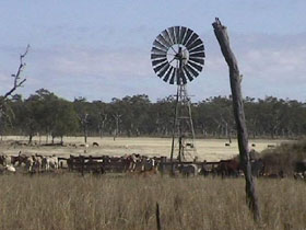 Chudleigh Park Gem Fields - Attractions Sydney 1