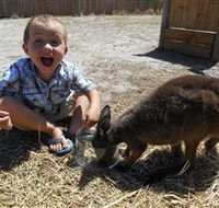 Animal Farm Goolwa - Attractions Sydney