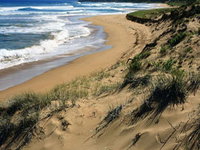 Book Waitpinga Accommodation Vacations Attractions Sydney Attractions Sydney