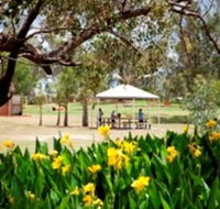 Charleville - Graham Andrews Parklands - Attractions Sydney