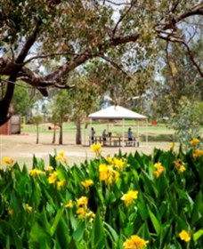 Charleville - Graham Andrews Parklands - Attractions Sydney 0