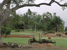 Charleville - Graham Andrews Parklands - Attractions Sydney 2