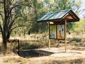 Murweh QLD Attractions Sydney