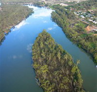 Sturt's Tree - Attractions Sydney