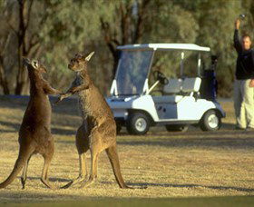Coomealla Golf Club - Attractions Sydney 2