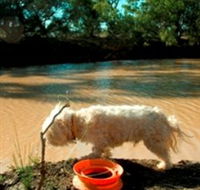 Charleville - 27 Mile Warrego River Fishing Spot - Attractions Sydney