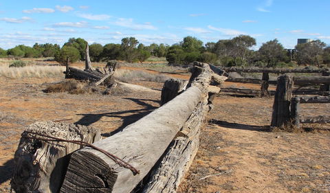 Zanci Pastoral Loop - Attractions Sydney 0