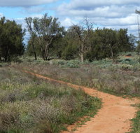 Grasslands Nature trail - Attractions Sydney