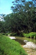Salvator Rosa Section - Carnarvon National Park - Attractions Sydney 0
