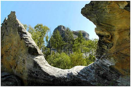 Salvator Rosa Section - Carnarvon National Park - Attractions Sydney 1