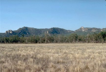 Salvator Rosa Section - Carnarvon National Park - Attractions Sydney 3