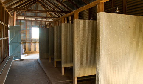Willandra Shearing Precinct - Attractions Sydney 3