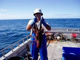 Lacepede Seafood - Attractions Sydney 2