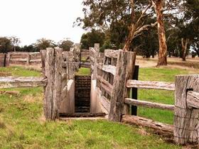 Wiese's Horse Dip - Part Of Historic Drive - Attractions Sydney 0