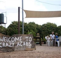 Crazy Acres - Attractions Sydney