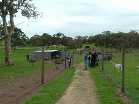 Avenue Range ACT Attractions Sydney