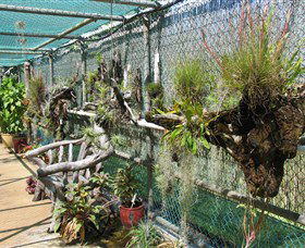 George Brown Darwin Botanic Gardens - Attractions Sydney 5