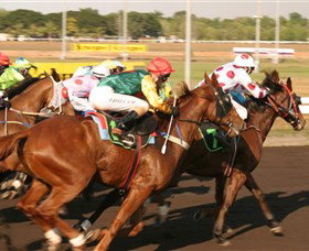 Darwin Turf Club - Attractions Sydney 1