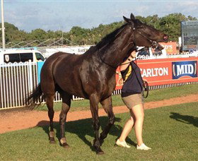 Darwin Turf Club - Attractions Sydney 2