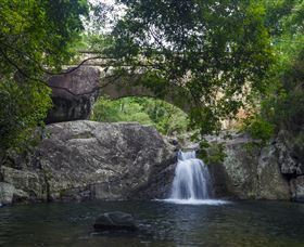 Paluma And Crystal Creek Rainforest - Attractions Sydney 0