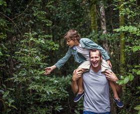 Paluma And Crystal Creek Rainforest - Attractions Sydney 1