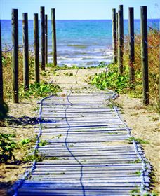 Balgal Beach - Attractions Sydney 2