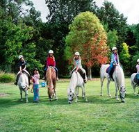 Limestone Coast Horseriding - Attractions Sydney