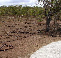 Wurrwurrwuy Garanhan Macassan Beach Interpretive Walk - Attractions Sydney