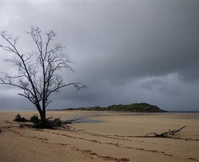 Dhamitjinya (East Woody Island) And Galaru (East Woody Beach) - Attractions Sydney 3