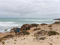 The Seaview Walking Trail