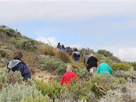 The Seaview Walking Trail - Attractions Sydney 2