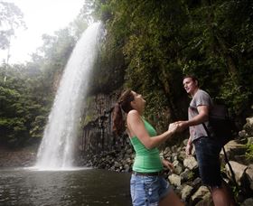 Millaa Millaa Falls - Attractions Sydney 0