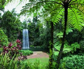 Millaa Millaa Falls - Attractions Sydney 2