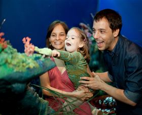 Museum Of Tropical Queensland - Attractions Sydney 2