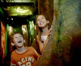 Museum Of Tropical Queensland - Attractions Sydney 1