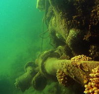 Wreck Diving at Magnetic Island - Attractions Sydney