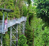 Mamu Tropical Skywalk - Attractions Sydney