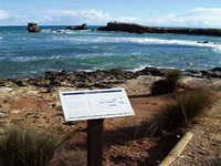 Cape Buffon Walking Trail