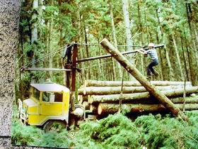 Nangwarry Forestry And Logging Museum - Attractions Sydney 3