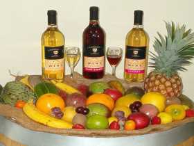 De Brueys Boutique Wines And Functions Venue - Attractions Sydney 0
