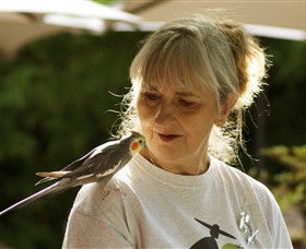 Leaghur ACT Attractions Sydney