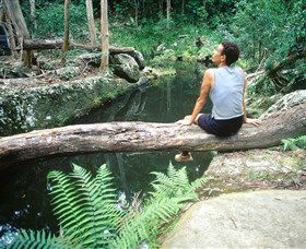 Barron Gorge National Park - Attractions Sydney 1