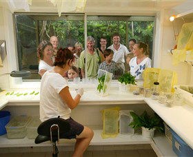 Australian Butterfly Sanctuary - Attractions Sydney 3
