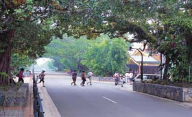 Kuranda - Village In The Rainforest - Attractions Sydney 1