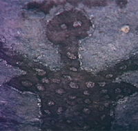 Quinkan Reserves Ancient Rock Art - Attractions Sydney
