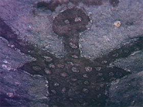 Quinkan Reserves Ancient Rock Art - Attractions Sydney 0