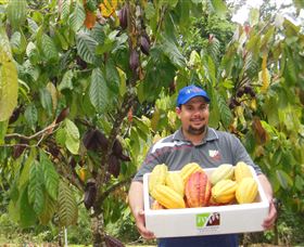 Sweet Farm Tours - Attractions Sydney 0