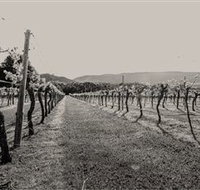 Halls Gap Estate - Attractions Sydney